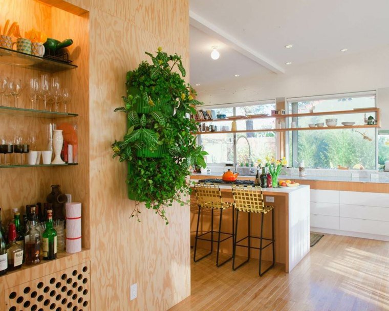 cuisine-tout-en-bois-plante-murale